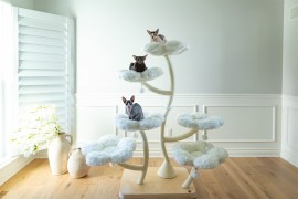 cat-climbing-frame-gho-0000AFC885851-1-scaled